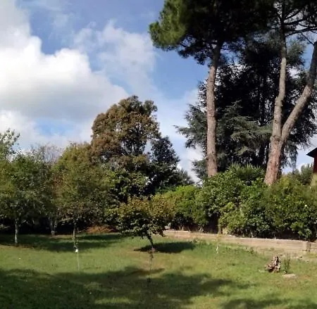 Bed & Breakfast Vigna Dell'agrifoglio -