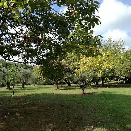 Vigna Dell'agrifoglio - Bed & Breakfast *