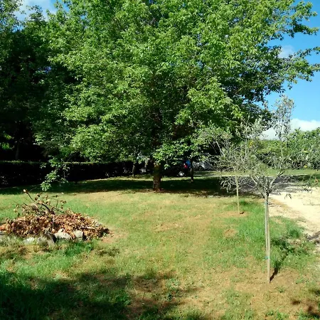 Vigna Dell'agrifoglio - Bed & Breakfast Velletri