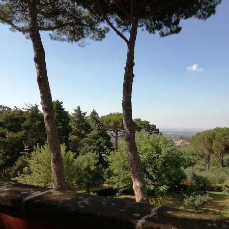Vigna Dell'agrifoglio -