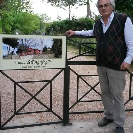 Vigna Dell'agrifoglio - Bed & Breakfast