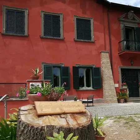 Vigna Dell'agrifoglio - Bed & Breakfast Velletri