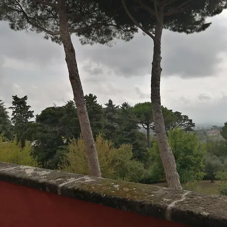 Vigna Dell'agrifoglio - Bed & Breakfast Velletri