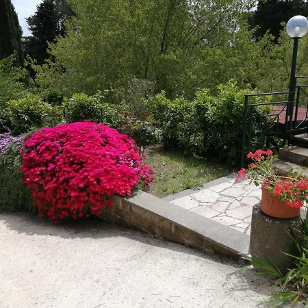 Vigna Dell'agrifoglio - Bed & Breakfast Velletri