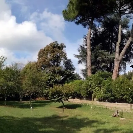 Vigna Dell'agrifoglio Di Eugenio Azzolini *