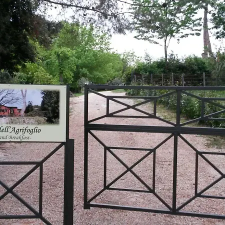 לינה וארוחת בוקר Vigna Dell'agrifoglio Di Eugenio Azzolini